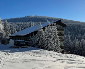Apartmán v Srdci Hor Cihlářka, Pec Pod Snežkou